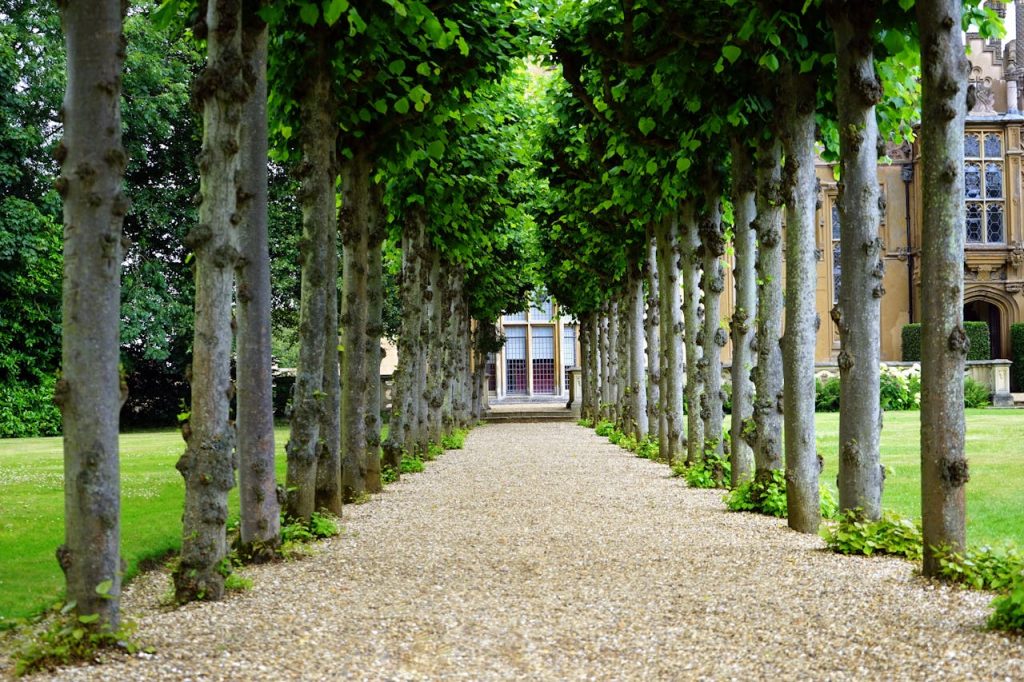 pathway-between-trees-towards-house-126271 Peaceful garden walkway with trees leading to a historic building.